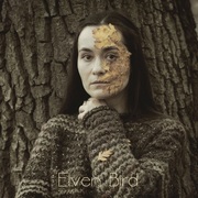 {DOWNLOAD} Elven Bird -  The Japanese Tree {ALBUM MP3 ZIP}'s avatar
