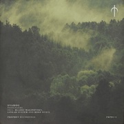 {DOWNLOAD} Svarog -  Passengers - EP {ALBUM MP3 ZIP}'s avatar