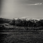 {DOWNLOAD} Tom Vanstiphout -  Belval - EP {ALBUM MP3 ZIP}'s avatar