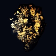 {DOWNLOAD} Brian Deady -  The Healing {ALBUM MP3 ZIP}'s avatar