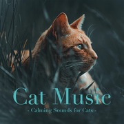 {DOWNLOAD} RelaxMyCat, Cat Music & C -  Cat Music: Calming Sound {ALBUM MP3 ZIP}'s avatar