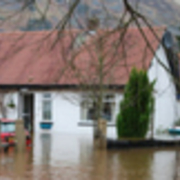 Water Damage Restoration and Repair Bayside's avatar