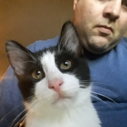 Boyd Johnson's avatar