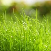 Hemang  Shankar's avatar