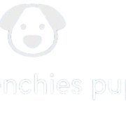 Buy Frenchies pups's avatar