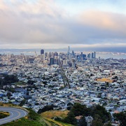 Max Hamilton's avatar