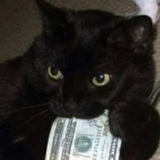 Bhavyalochana Pratapaneni