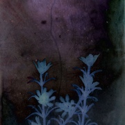 Armen  Agaryan's avatar