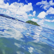 Robin Robin's avatar