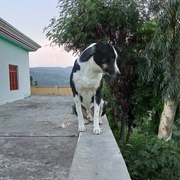 MrSohail94 Mahroof's avatar