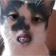 Jason Jackl's avatar
