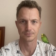 Nikita Volevoi's avatar