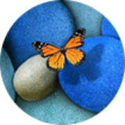 hieunt9a's avatar