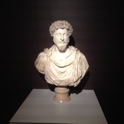 siavash shojaei's avatar