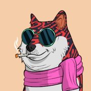 Amir Amir's avatar