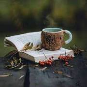 chelik chelik's avatar