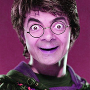 abed gil's avatar