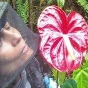 Elisabeth Green's avatar