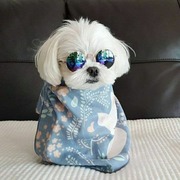 Kim Dumbeldor's avatar