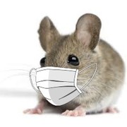 Antonio Carrero's avatar