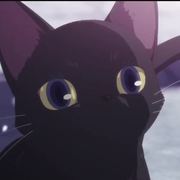 John Salinas's avatar