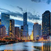 Moses Cohen's avatar