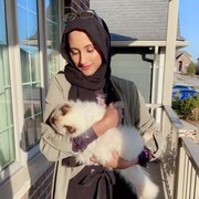 Areej Ansari