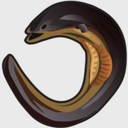 Raul Castillo's avatar