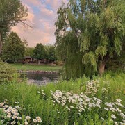 Israa Mohamed's avatar