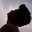 Ashish Khare