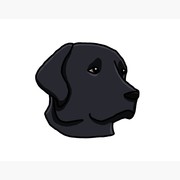 Lisa Reichelson's avatar