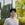 Kevin Jing