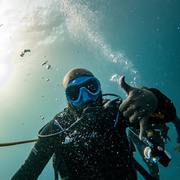 Dornj Mariab's avatar