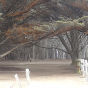 Meghana Kumar's avatar