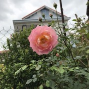 Nguyễn MinH's avatar