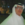 TALAL FALEH