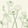 Jeslyn Lu
