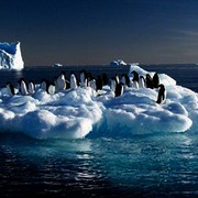 YoHelloWorld's avatar