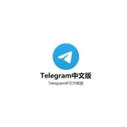 Telegram 中文版's avatar