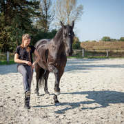 Besthorse lovers's avatar