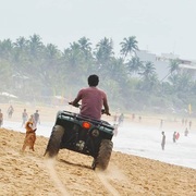 Harvey Gand's avatar