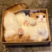 Huong Le's avatar