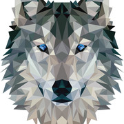 Rising Star's avatar