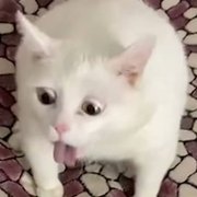 Shizugawa Kocho  Muichiro-Himejima's avatar