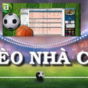 Soi keo bong da thabet's avatar