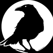 Nikilesh Kashyap's avatar