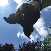 Kendall Levy's avatar