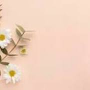 aminul islam's avatar