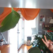 Mellody Strahan's avatar