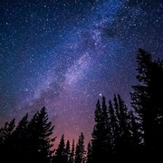 Ала Кусто's avatar